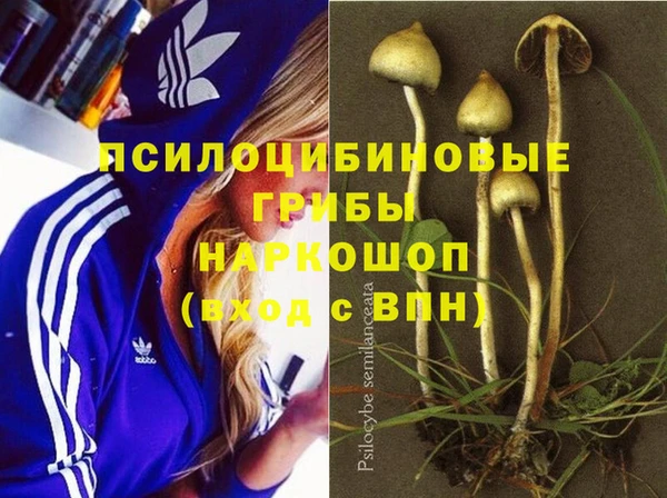 тгк Арсеньев