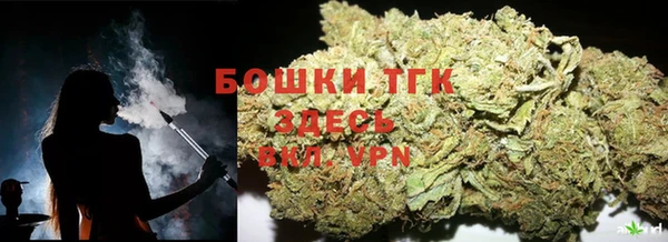 тгк Арсеньев