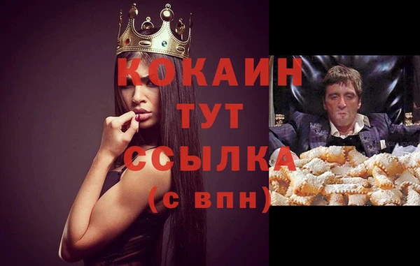 тгк Арсеньев