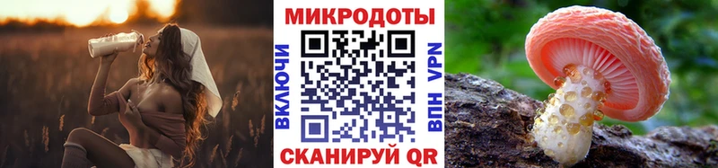 наркошоп  Белокуриха  Галлюциногенные грибы Psilocybe 